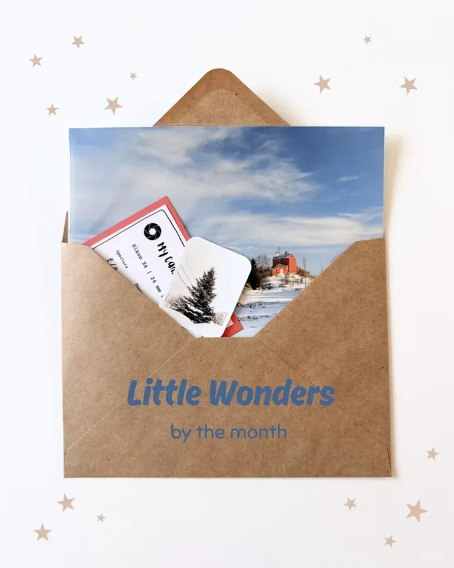 Little Wonders Print Club