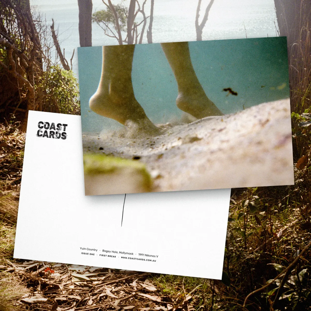 Coast Cards