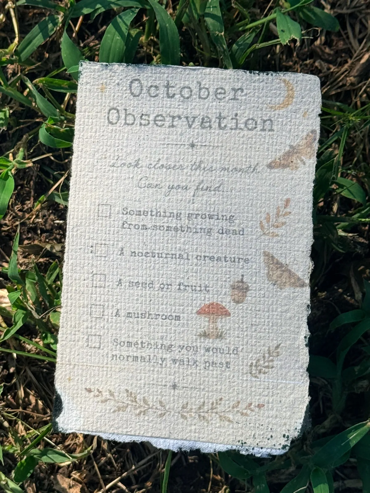 Deckled Roots Monthly Post