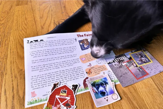 Pup Letters