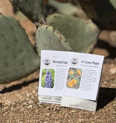 #ThisIsTucson Snail Mail Club