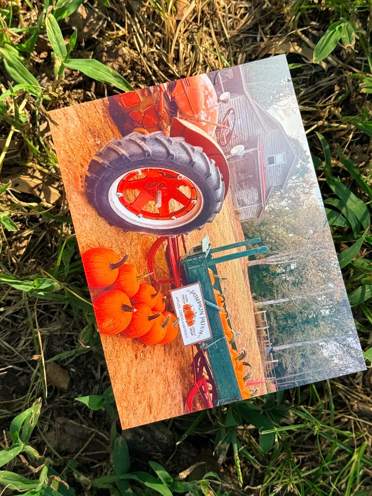 Deckled Roots Monthly Post