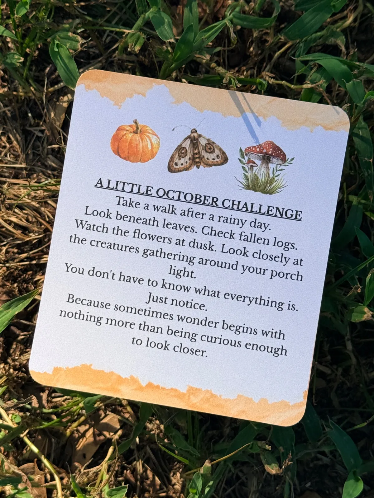 Deckled Roots Monthly Post