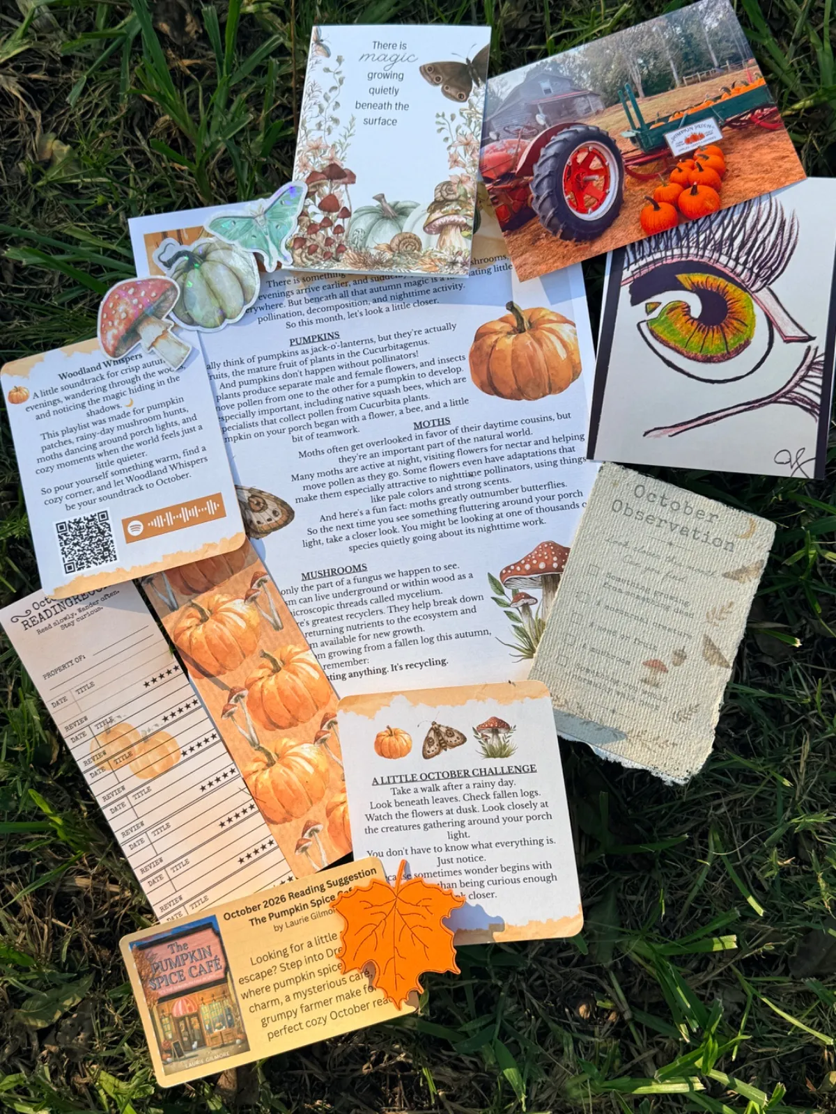 Deckled Roots Monthly Post