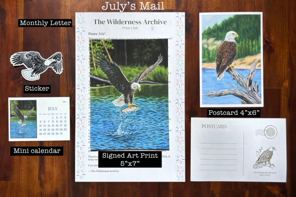 The Wilderness Archive Print Club