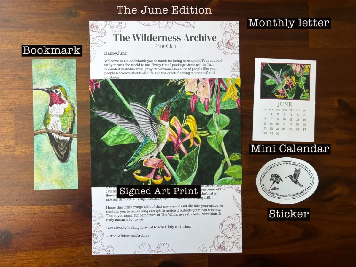 The Wilderness Archive Print Club