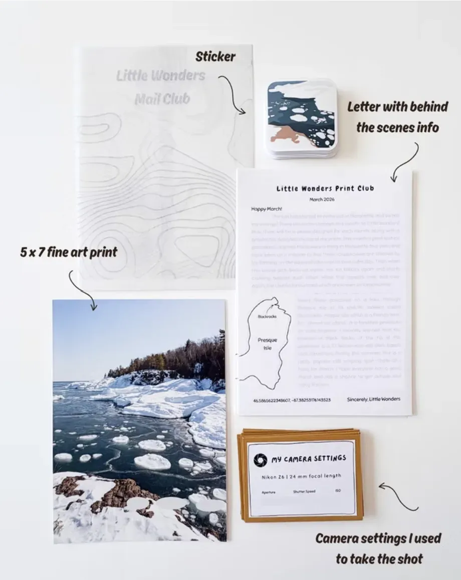 Little Wonders Print Club