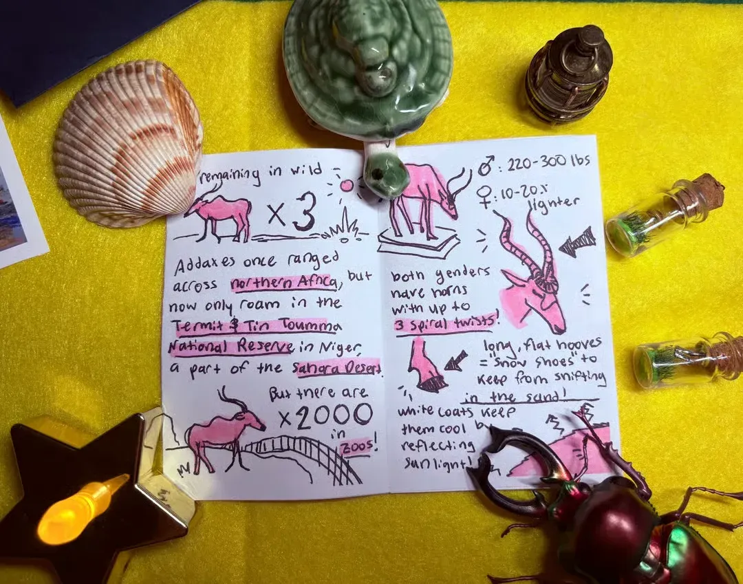 Critical Creatures of the Calendar