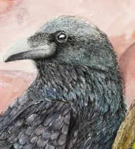 Raven's Post logo