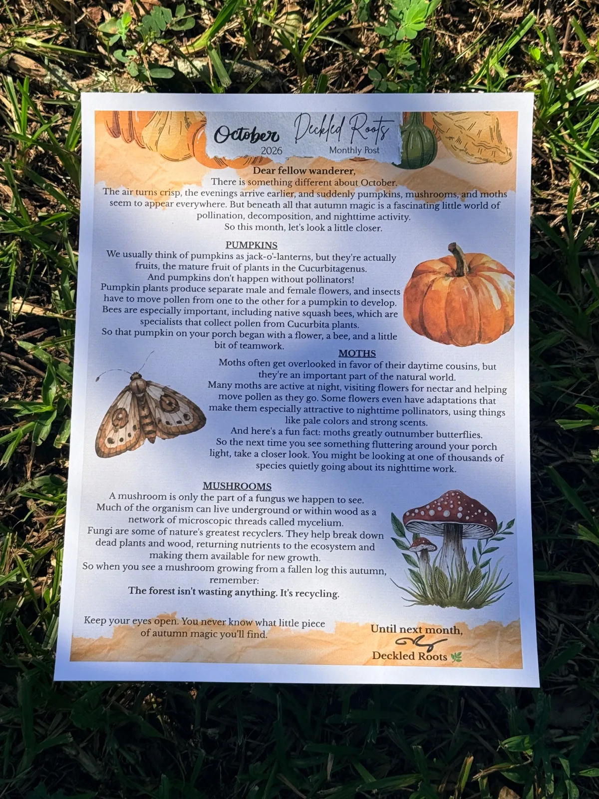 Deckled Roots Monthly Post